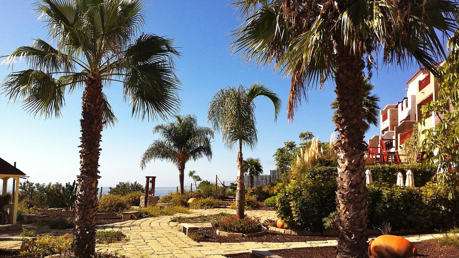 Eco Finca Vista Bonita Apartment San Miguel de Abona Spain