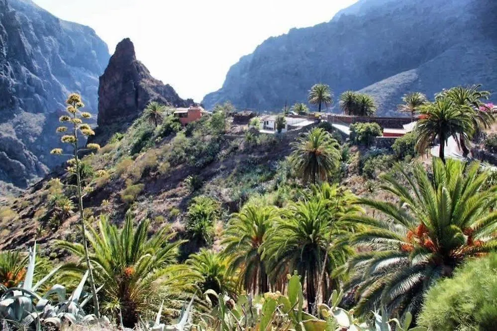 Eco Finca Vista Bonita San Miguel de Abona Spagna